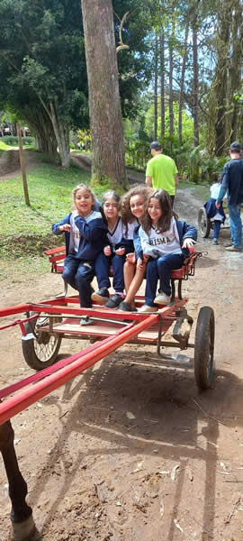 Bicho Mania 2022